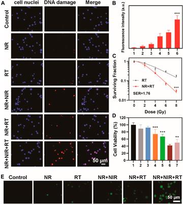 Hypoxia Alleviating PdTe Nanoenzymes for Thermoradiotherapy